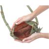 HOBO Lexi Crossbody(Watercress)
