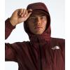 THE NORTH FACE Mens Alta Vista Jacket(Sumac)