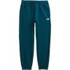THE NORTH FACE Men’s Core Sweatpant (Standard and Big Size)(Midnight Petrol/Tnf White)