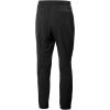 Helly-Hansen Men’s Roam Pant(980 Ebony)
