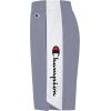 Champion Boy’s Script Basketball Shorts (Big Kids)(Concrete/White)