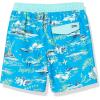 Hurley Boys’ Board Shorts(Neptune Blue/Doodle)