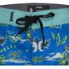Hurley Boys’ Board Shorts(Neptune Blue/Doodle)
