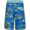 Hurley Boys’ Board Shorts(Neptune Blue/Doodle)