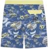 Hurley Boys’ Board Shorts(Shoreline Blue)