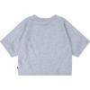 Levi’s Girls’ High Rise Graphic T-Shirt(Grey/Pink)