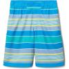 Columbia Boys Sandy Shores Boardshort, Moisture-Wicking, UV Sun Protection(Bright Aqua Danby Stripe/Compass Blue)