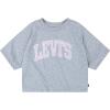 Levi’s Girls’ High Rise Graphic T-Shirt(Grey/Pink)