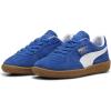 Cobalt Glaze/Puma White