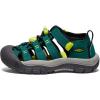 KEEN Unisex-Child Newport H2 Closed Toe Water Sandals(Aventurine/Evening Primrose)