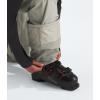 THE NORTH FACE Men’s Freedom Insulated Pant(Clay Grey)