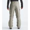 THE NORTH FACE Men’s Freedom Insulated Pant(Clay Grey)