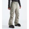 THE NORTH FACE Men’s Freedom Insulated Pant(Clay Grey)