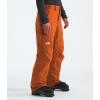 THE NORTH FACE Men’s Freedom Insulated Pant(Earthen Copper)