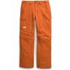 THE NORTH FACE Men’s Freedom Insulated Pant(Earthen Copper)