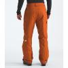 THE NORTH FACE Men’s Freedom Insulated Pant(Earthen Copper)