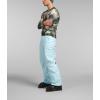 THE NORTH FACE Men’s Freedom Insulated Pant(Icecap Blue)