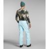 THE NORTH FACE Men’s Freedom Insulated Pant(Icecap Blue)