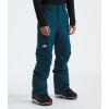THE NORTH FACE Men’s Freedom Insulated Pant(Midnight Petrol)