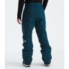 THE NORTH FACE Men’s Freedom Insulated Pant(Midnight Petrol)
