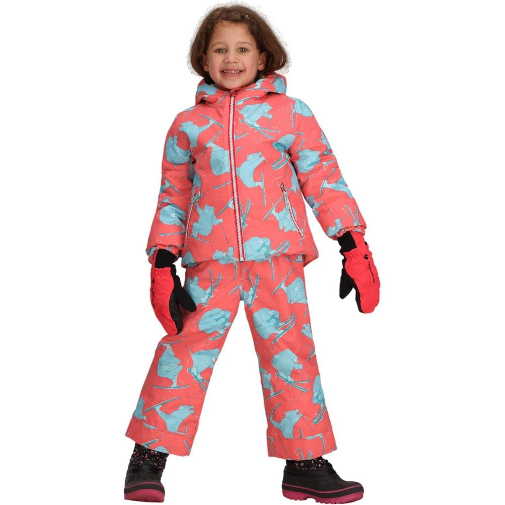 imageObermeyer Girls Ashor Jacket ToddlerLittle Big KidPink Daffy Dayz