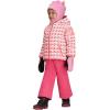 Obermeyer Girls’ Ashor Jacket (Toddler/Little Big Kid)(Pink Graphic Heart)