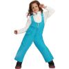 Obermeyer Snoverall Bib Pants – Kids Girls(Blue Aegean)