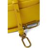 Madewell The Leather Carabiner Mini Crossbody Bag(Gilded Chartreuse)