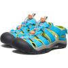 KEEN Boy’s, Newport H2 Boundless Sandal – Little Kid & Big Kid(Blue Atoll/Daiquiri Green)
