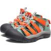 KEEN Boy’s, Newport H2 Boundless Sandal – Little Kid & Big Kid(Granite Green/Scarlet Ibis)