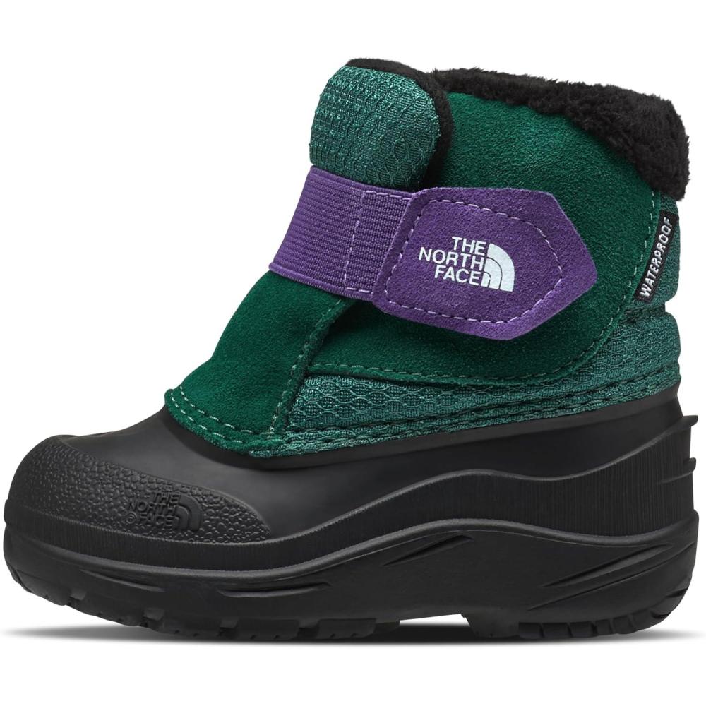 imageThe North Face unisexchild Nf0a3fyoEvergreenPeak Purple