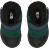 The North Face unisex-child Nf0a3fyo(Evergreen/Peak Purple)