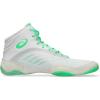 ASICS Men’s Split Elite Wrestling Shoes(White/New Leaf)