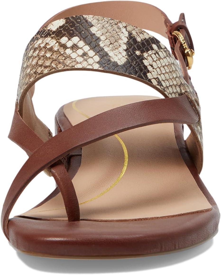 image:imageCole Haan Womens Anica Lux Block Heel Heeled SandalSandollar Prt Soho Snake Ltr