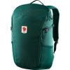 Peacock Green