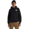 Tnf Black/Summit Gold