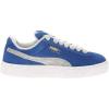 Cobalt Glaze-cool Light Gray-puma White