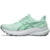 Mint Tint/Dark Mint
