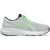 Glacier Grey/Vital Green