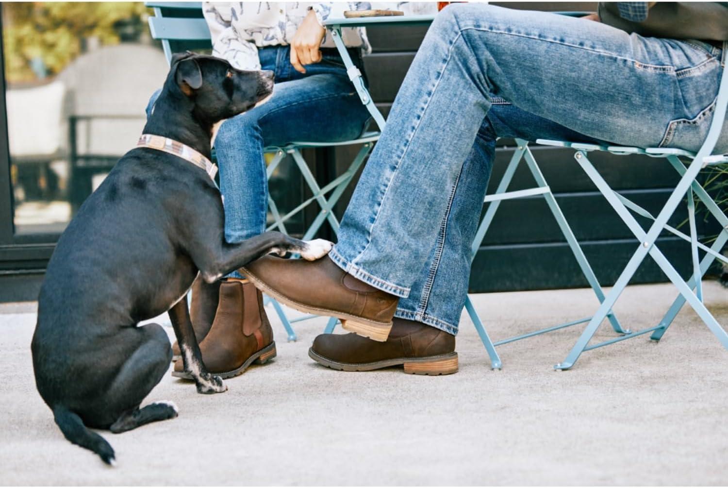image:imageAriat Womens Wexford Waterproof BootBlack