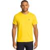 Midday Yellow