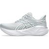 Piedmont Grey/Pure Silver