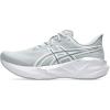 Piedmont Grey/Pure Silver