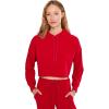 Holly Red