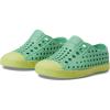 Candy Green/Celery Green/Shell Speckles