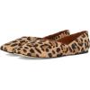 Brown Leopard