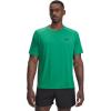 (305) Team Kelly Green / / Black