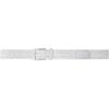 White/Microchip