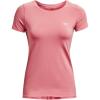 Pink Clay (663)/Metallic Silver