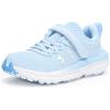 (464) Nimbus Blue/Nimbus Blue/Iridescent
